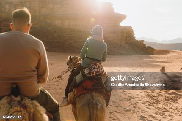 viajeros amigos que exploran el desierto de wadi rum montando camellos durante la pintoresca puesta de sol - grupo pequeño de animales fotografías e imágenes de stock