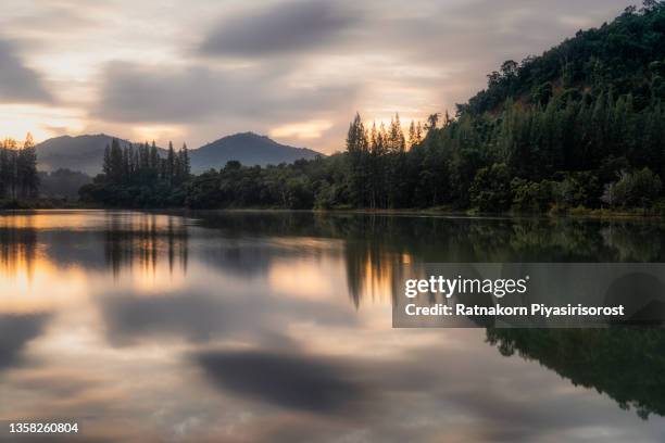 aerial drone view sunrise scene of lake and pine forest at liwong village public park, chana district, songkhla province, thailand - chana eden stock pictures, royalty-free photos & images