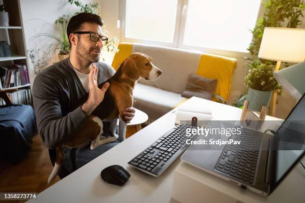 caucasian man with a dog in his lap, waving during a video call on laptop - dog waving stock pictures, royalty-free photos & images
