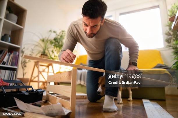 curious beagle dog, makes company to his owner, while he assembling furniture - animal leg stockfoto's en -beelden