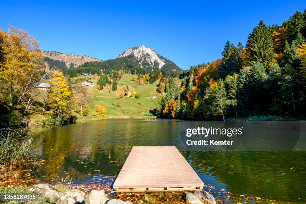 lake with colorful trees, a jetty and mountains - bergsteiger stockfoto's en -beelden