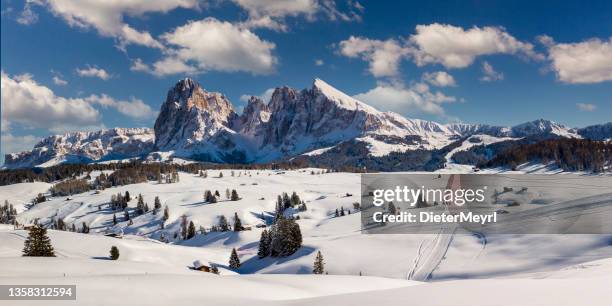 día de invierno perfecto en alpe di siusi con vistas a sassolungo y sassopiatto, dolomitas, italia - trentino alto adigio fotografías e imágenes de stock