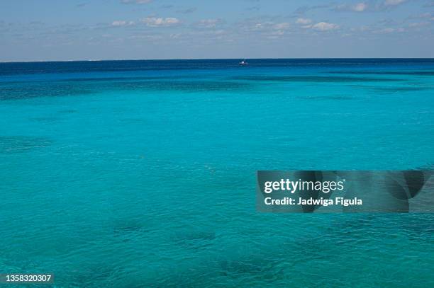 ocean tropical beauty, cozumel, mexico. - cozumel mexico stock pictures, royalty-free photos & images