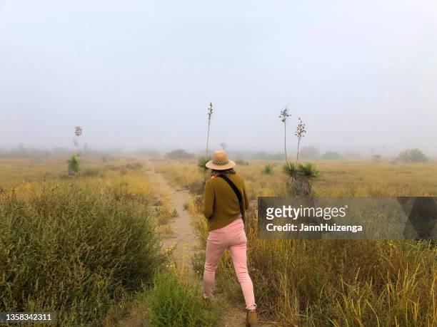 woman hiking west texas grasslands - west texas imagens e fotografias de stock