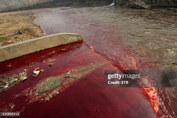 This picture taken on December 13, 2011 shows red polluted water flowing from a sewer into the Jian River in Luoyang, north China's Henan province....