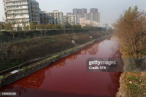 This picture taken on December 13, 2011 shows the red polluted Jian River in Luoyang, north China's Henan province. The cause of the river becoming...