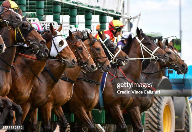 General view of barrier start i Race 4, the Vale Mahogany Handicap, during Melbourne Racing at Flemington Racecourse on December 11, 2021 in...