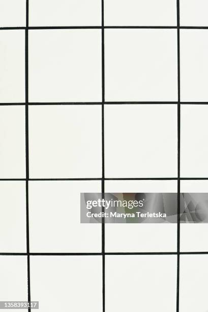universal black and white checkered background. - double check stock pictures, royalty-free photos & images