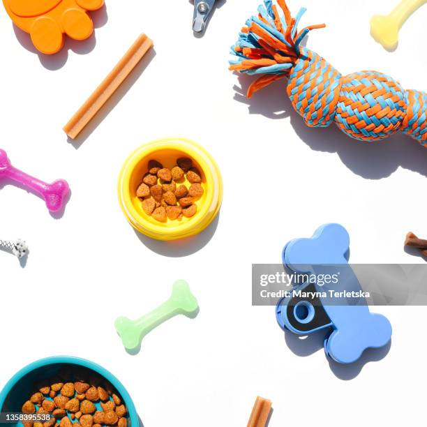 flatley attributes for the care of your beloved pets. - gioco per animali domestici foto e immagini stock