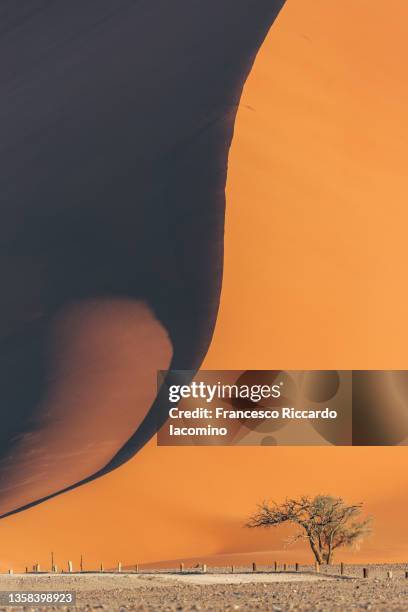 namib desert, sossusvlei sand dunes, namibia, africa - iacomino namibia stock-fotos und bilder