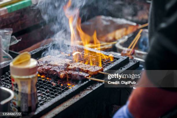 Meat Skewers High-Res Stock Photo