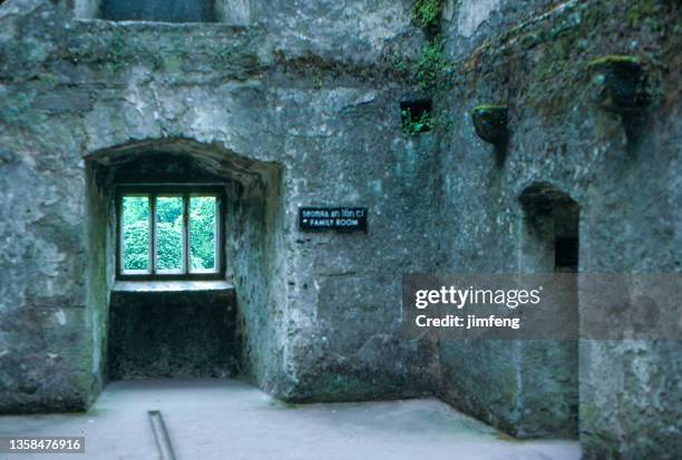 old retro vintage style positive film scan, blarney castle, medieval stronghold, county cork, ireland - blarney castle stock pictures, royalty-free photos & images