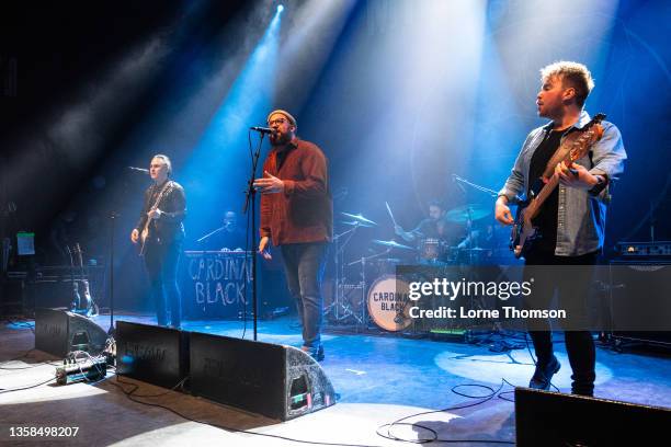 Sam Buck 509 Adam Buck Stock Photos, High-Res Pictures, and Images - Getty Images