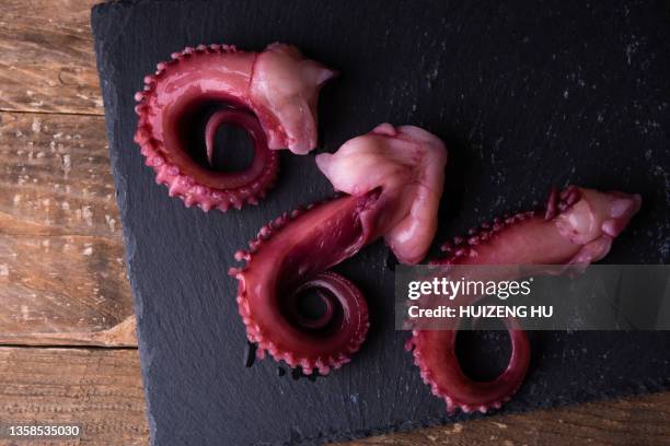 tentacles of octopus closeup. sea food - tentacle imagens e fotografias de stock