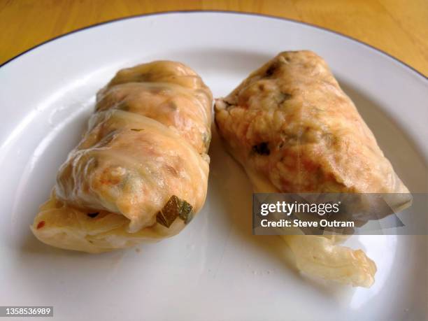 greek cuisine. stuffed cabbage rolls (lahanodolmades) - cabbage roll stock pictures, royalty-free photos & images