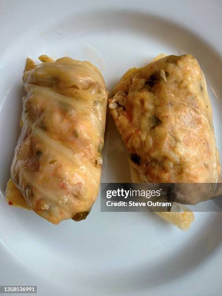 greek cuisine. stuffed cabbage rolls (lahanodolmades) - cabbage roll stock pictures, royalty-free photos & images