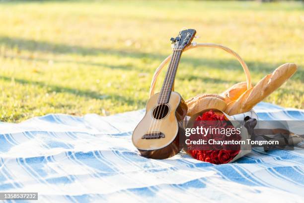 ukulele and red rose on a picnic mat. picnic decoration - romantic picnic stockfoto's en -beelden