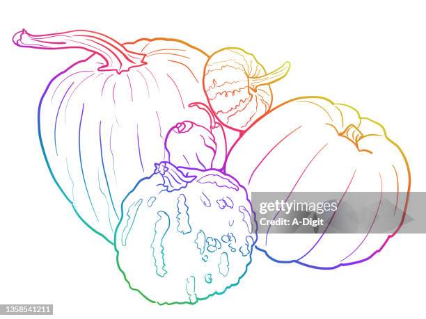 pumpkinswart - pumpkin patch stock illustrations