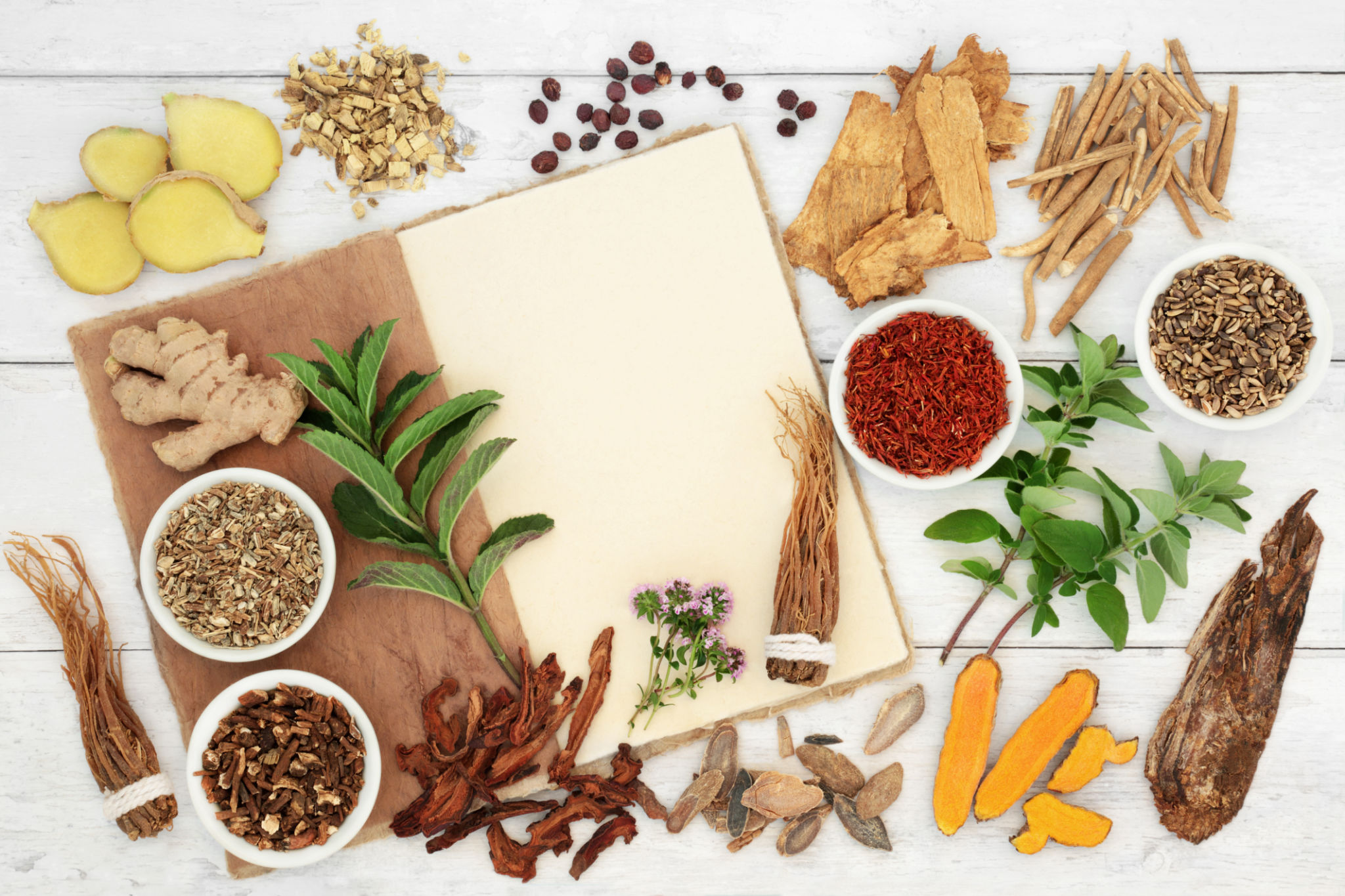 immune support herbs