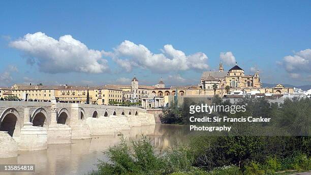 cordoba skyline with roman bridge & cathedral - romeinse brug stockfoto's en -beelden
