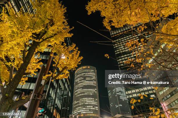 autumn in nagoya city of japan - ginkgo stockfoto's en -beelden