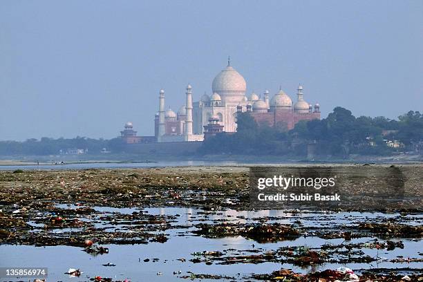58 Taj Mahal Trash Stock Photos High Res Pictures And Images Getty 58-taj-mahal-trash-stock-photos-high-res-pictures-and-images-getty