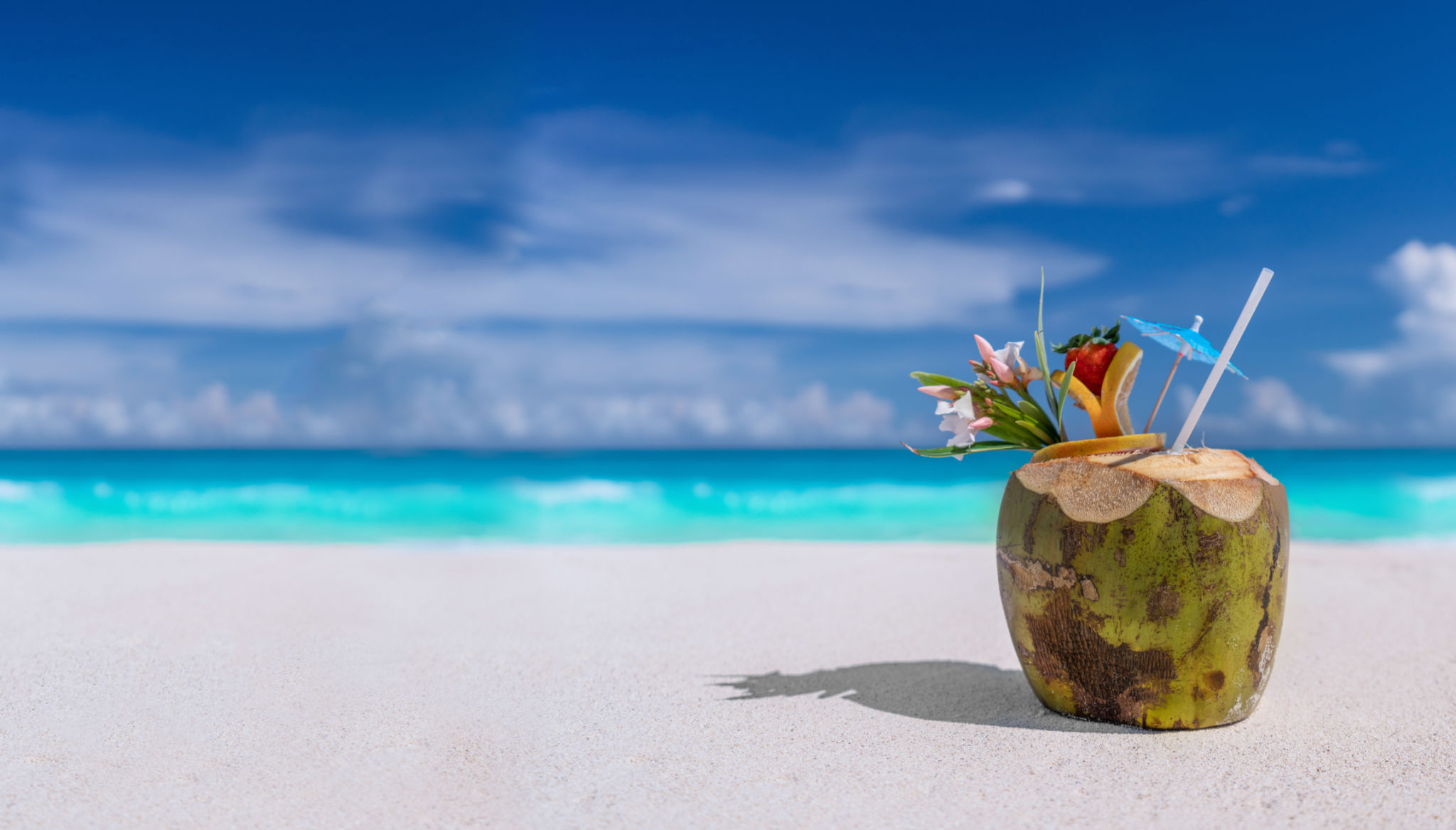 spring break beach