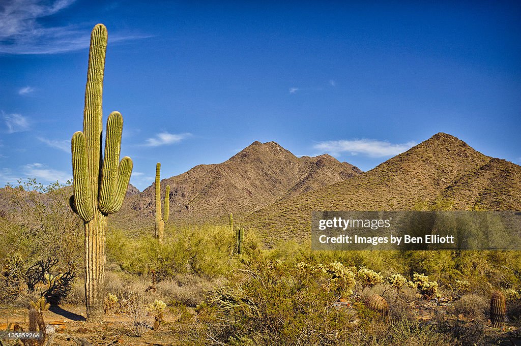 Mountains in lush desert