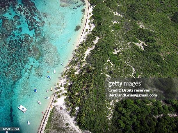 petite-terre - guadeloupe stockfoto's en -beelden