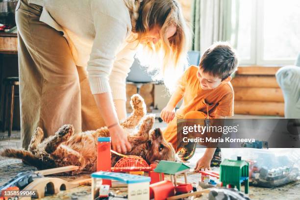 boy playing with train set at home. - messy dog stock-fotos und bilder