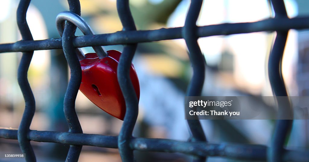 Padlock on fence