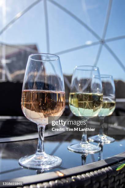 wine sampling in an outdoor bubble dome - canada wine stock pictures, royalty-free photos & images