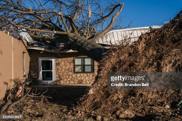 Damaged uprooted tree is seen leaning against Monette Manor nursing home on December 12, 2021 in Monette, Arkansas. The nursing home, which housed 67...