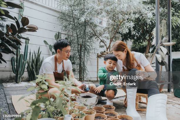 weekend family activity, planting seed in recycling plastic water bottle-stock photo - water wastage stock pictures, royalty-free photos & images