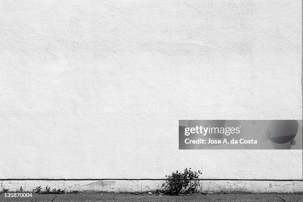 black and white picture of textile building - outdoor wall stock pictures, royalty-free photos & images