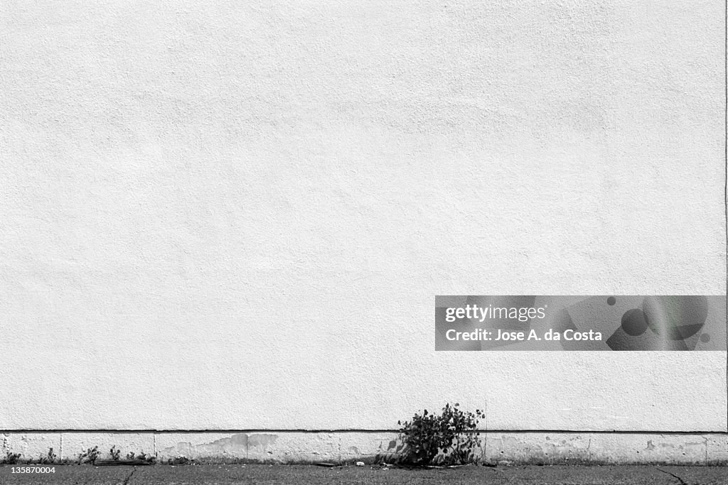Black and white picture of textile building