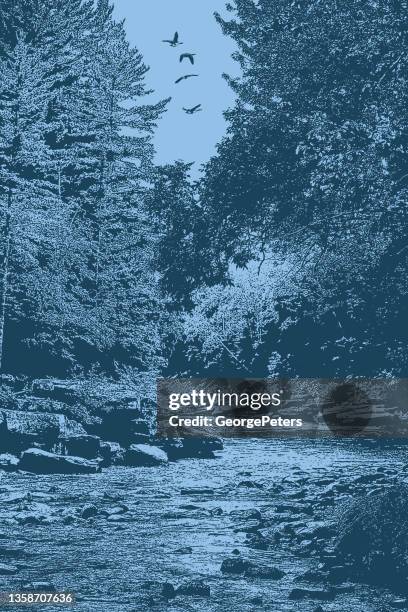 bildbanksillustrationer, clip art samt tecknat material och ikoner med wilderness river and rapids - forsränning med kajak