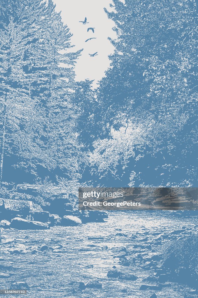 Wilderness river and rapids