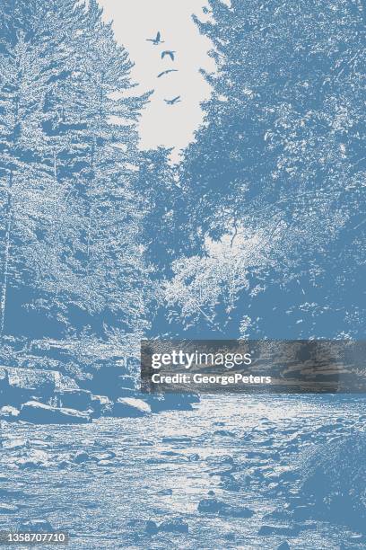 wilderness river and rapids - white water kayaking stock illustrations