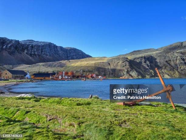 old rusty anchor on grytviken beach - rusty anchor stock pictures, royalty-free photos & images