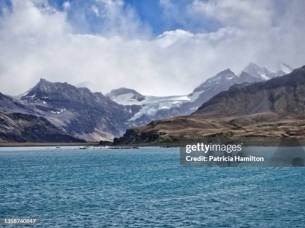 king edward cove, south georgia - south georgia island stock pictures, royalty-free photos & images