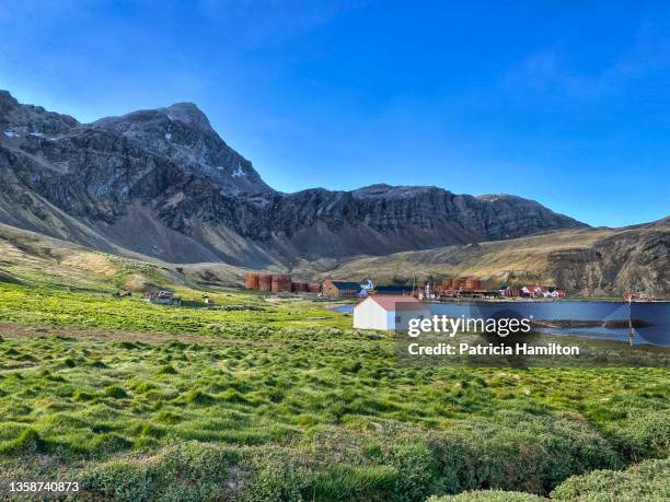 distant view of grytviken - insel south georgia island stock-fotos und bilder