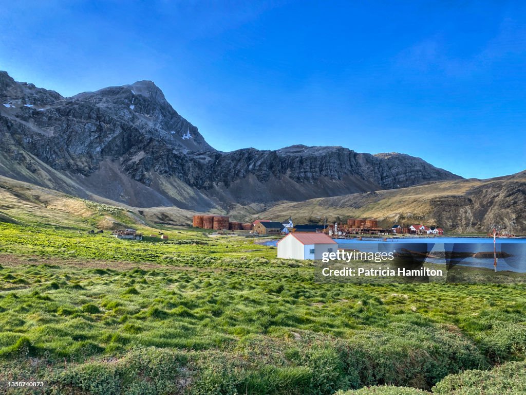 Distant view of Grytviken