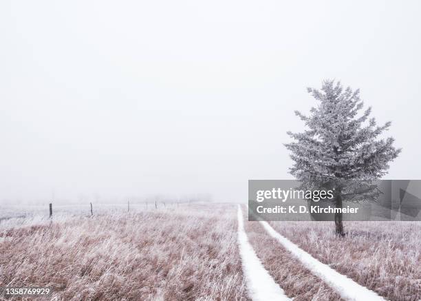 foggy winter landscape with path - saskatchewan prairie stock pictures, royalty-free photos & images