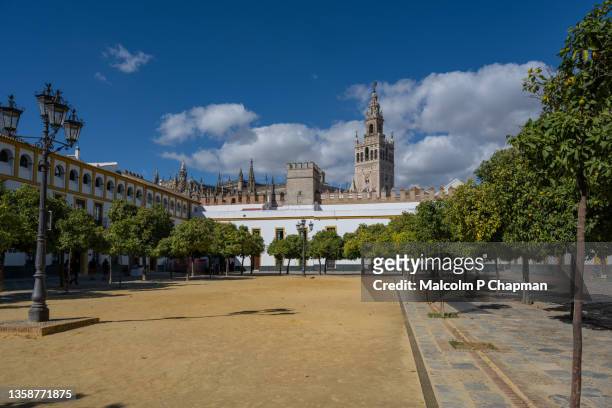 seville cathedral (catedral de santa maría de la sede), sevilla, andalusia - seville stock pictures, royalty-free photos & images