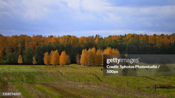 Lithuanian Landscape Photos and Premium High Res Pictures - Getty Images