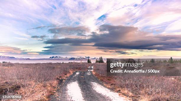 scenic view of field against sky during sunset - landslag stock pictures, royalty-free photos & images