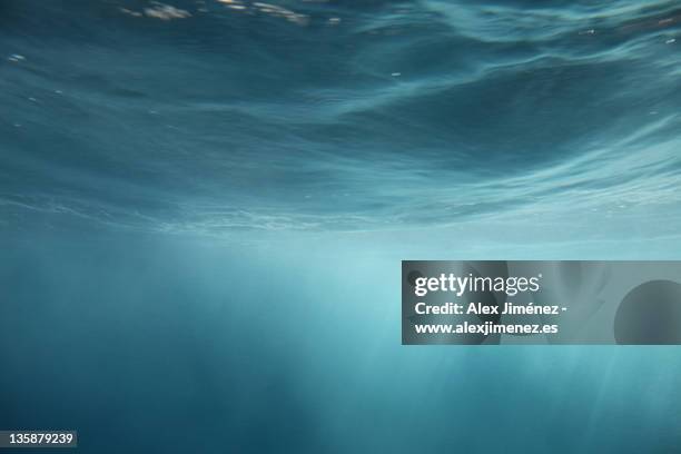 immersed in peace (mediterranean) - underwater stock pictures, royalty-free photos & images