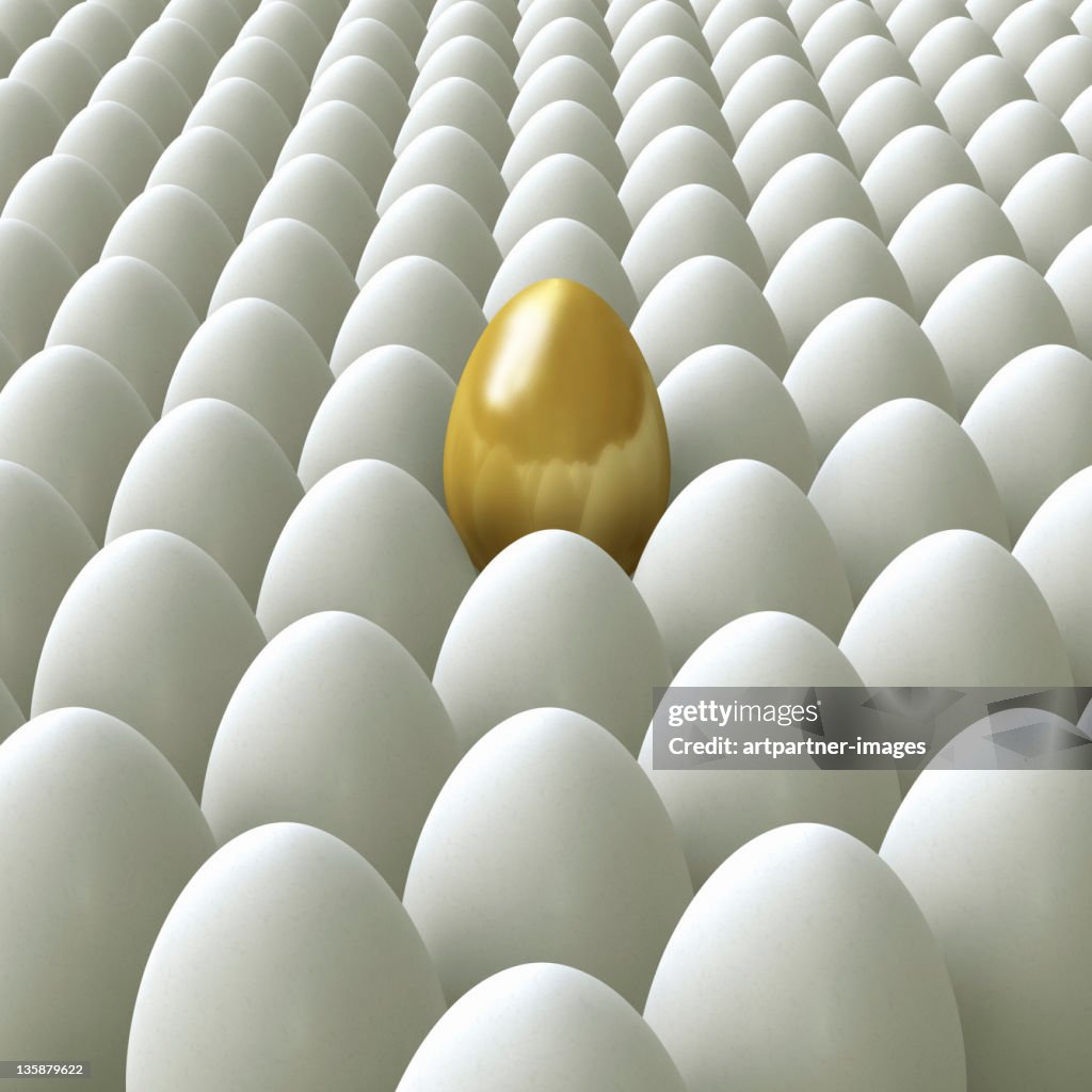 One Golden Egg in a crowd of white eggs