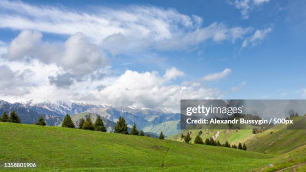 kok zhailau green pasture,panoramic view of landscape against sky,kazakhstan - kazakhstan stock pictures, royalty-free photos & images